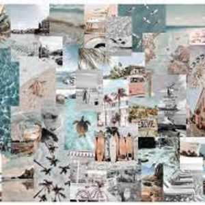 Meet your Posher, Isabella